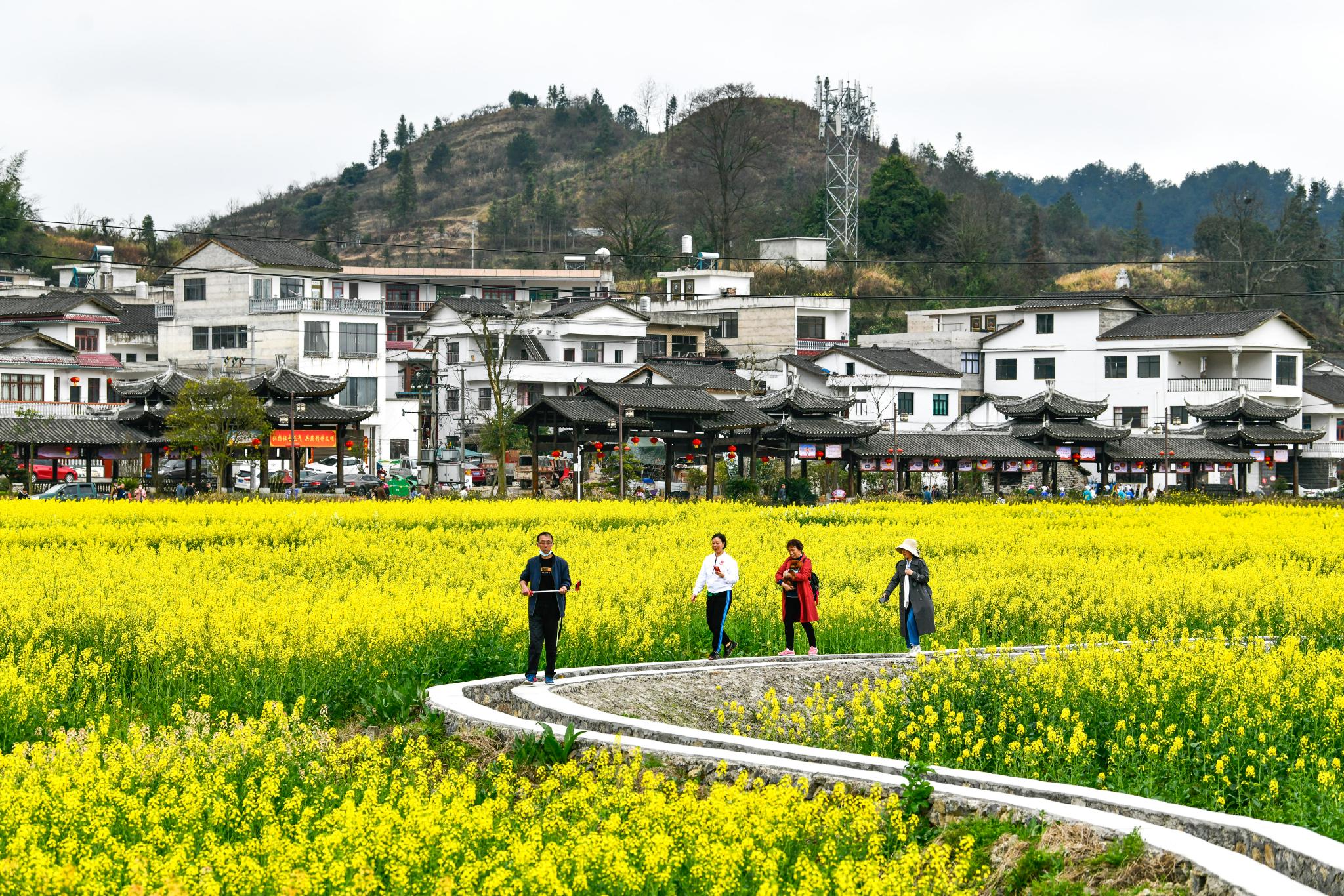 全面推进乡村振兴（新征程·高质量发展谱新篇）(图1)