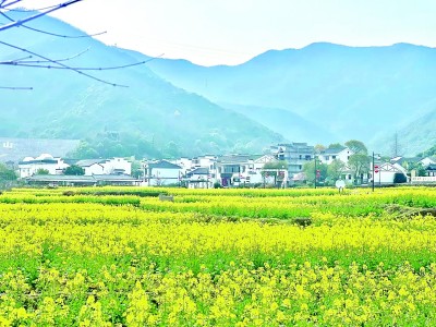 奔驰宝马游戏大厅全国最长期限乡村振兴票据落地安徽(图1)