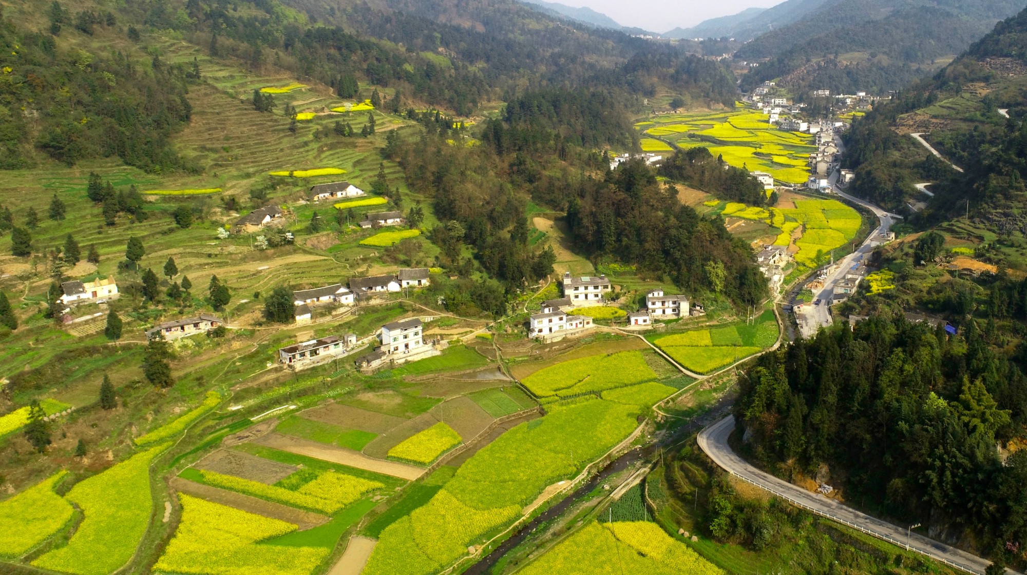 乡村行·看振兴）山西忻州：电力赋能 “小梨花”开出产业振兴路(图1)