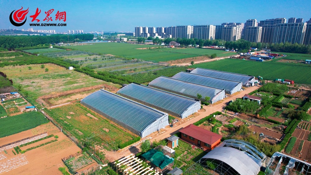 丽水遂昌“四好农村路”宝马娱乐在线电子游戏铺出乡村振兴新图景(图1)