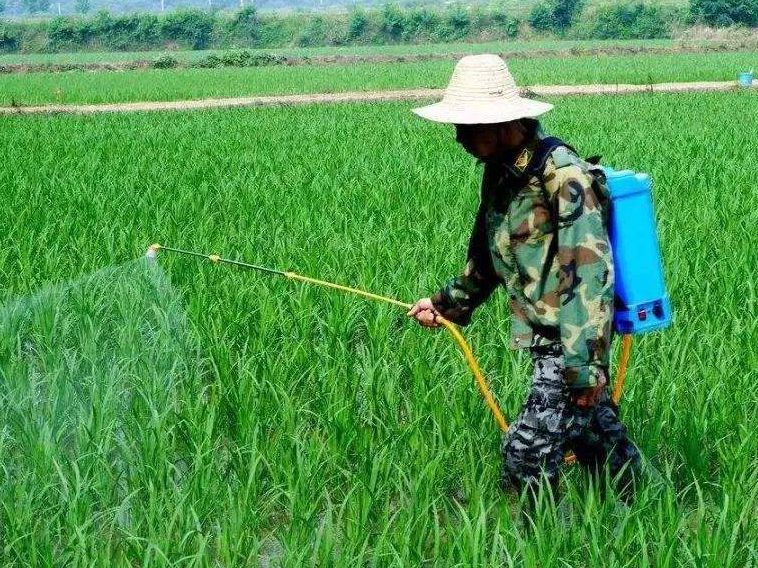 汉南区是武汉的新城区在武汉市的版图上为何如同一块飞地的存在(图1)