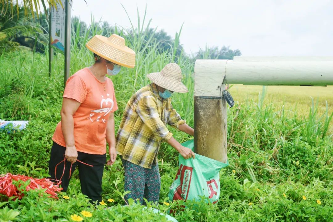 奔驰宝马游戏大厅兵团三师五十团夏河镇加强枣树田管与病虫害综合防治(图1)