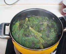 农村随处可见的野菜含钙量是牛奶的三倍菜叶菜根都是宝！(图1)