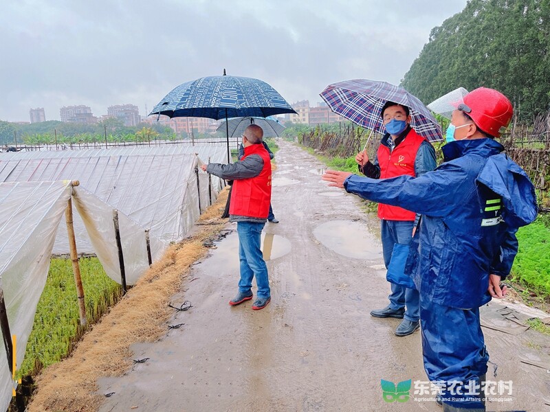 奔驰宝马游戏大厅福鼎：防寒防冻 保障生产生活(图1)