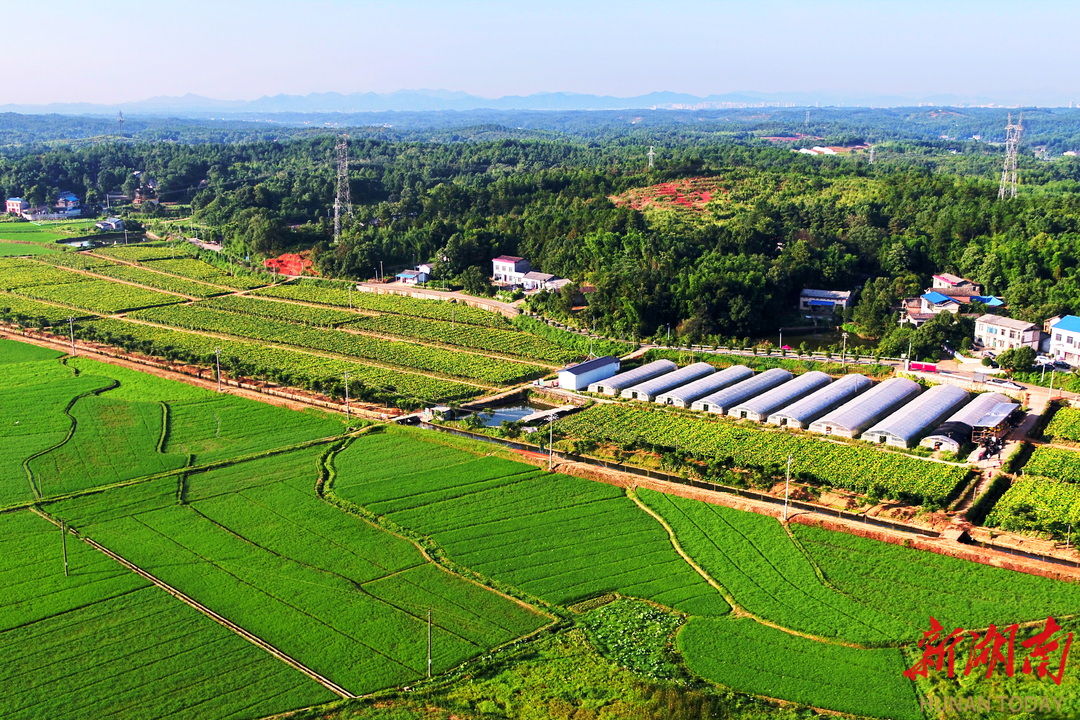 奔驰宝马游戏大厅立足县域特色产业 为乡村振兴注入动力(图1)